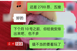 龙海专业催债公司的市场需求和前景分析